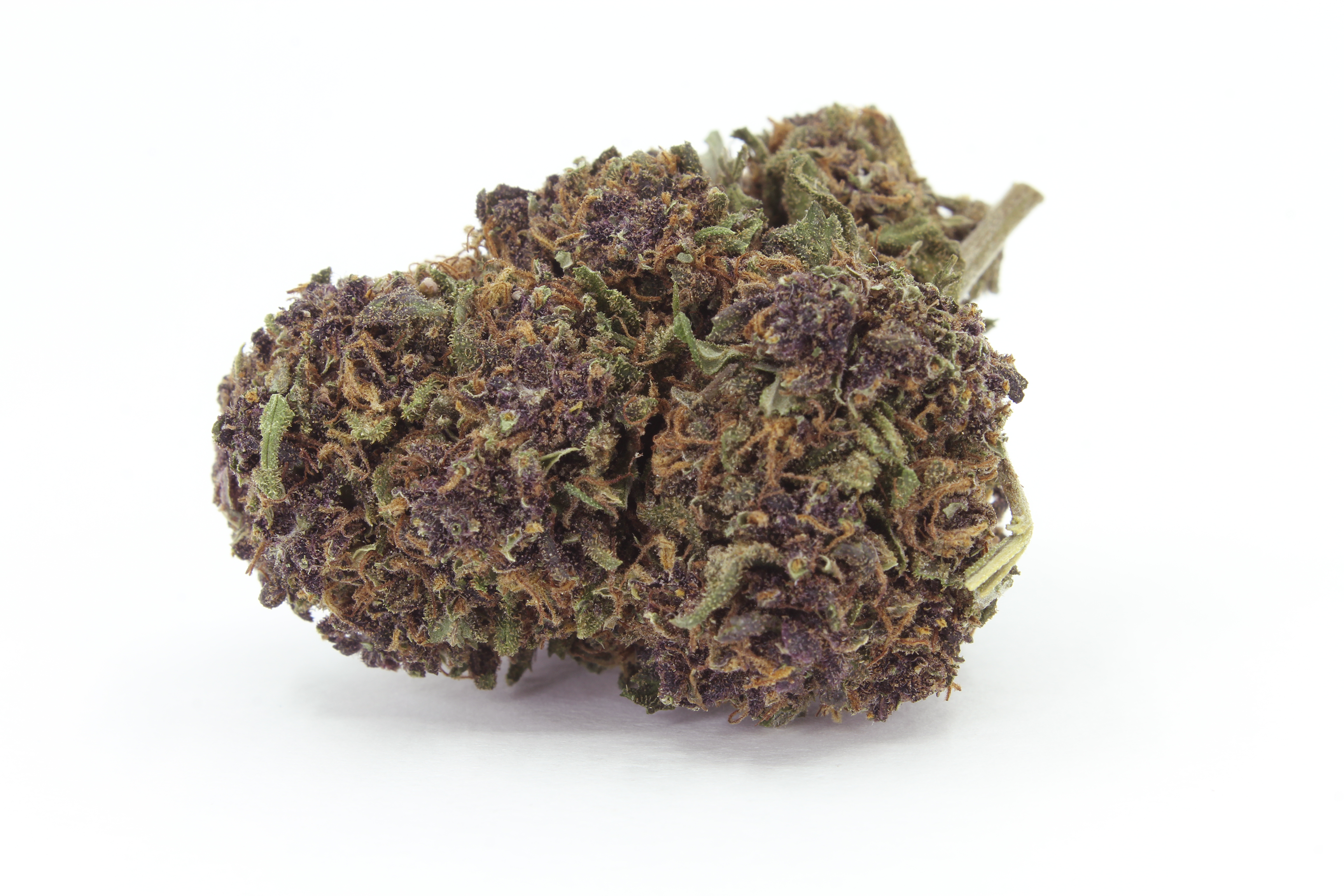 Purple Haze CBD