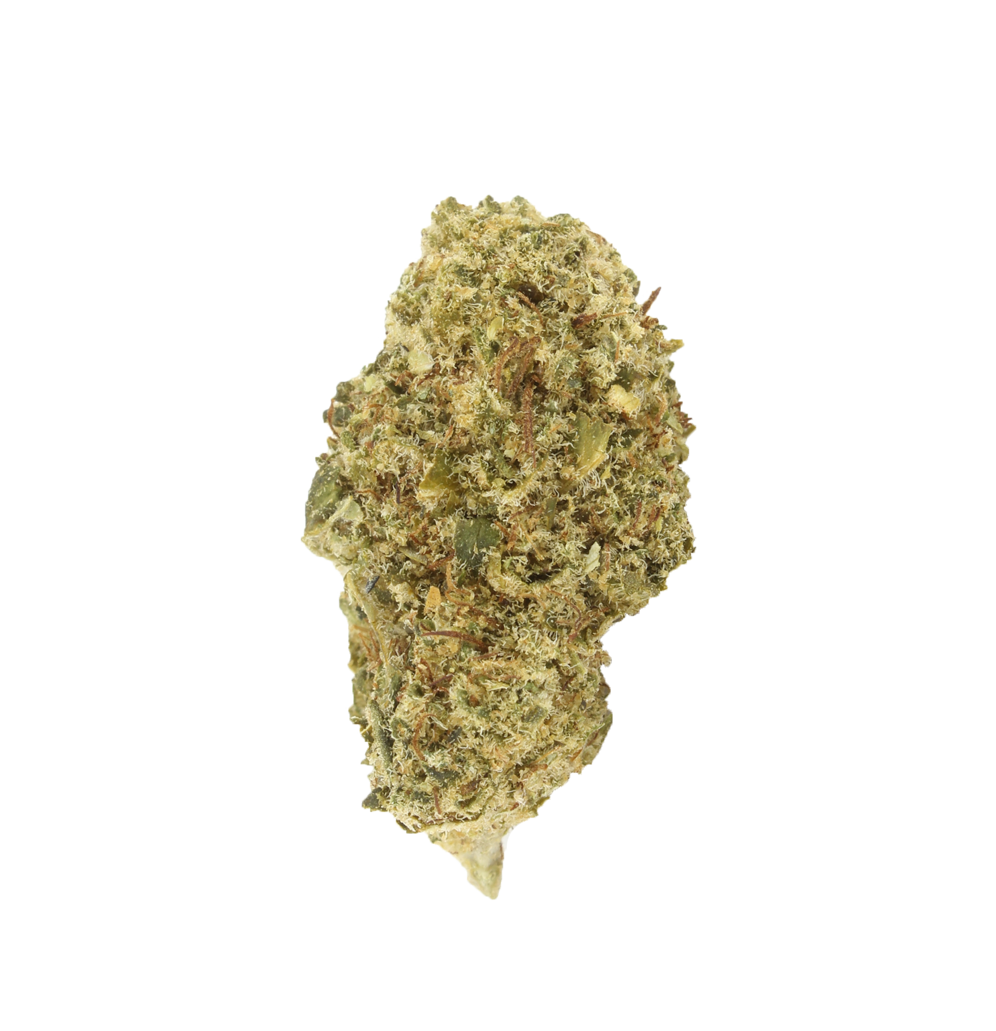 Raspeberry Muffin