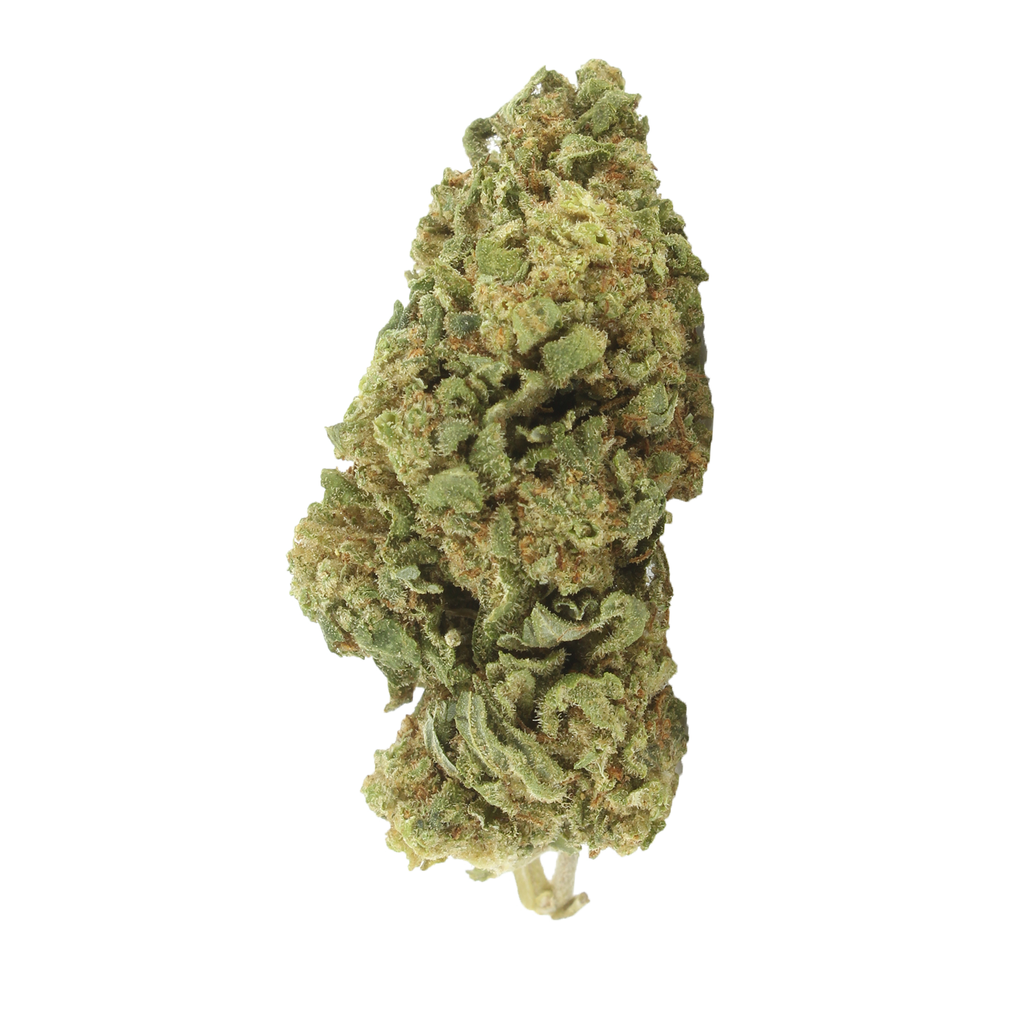 Mango Kush