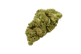 NORTHERN LIGHT 𝟐𝟕%