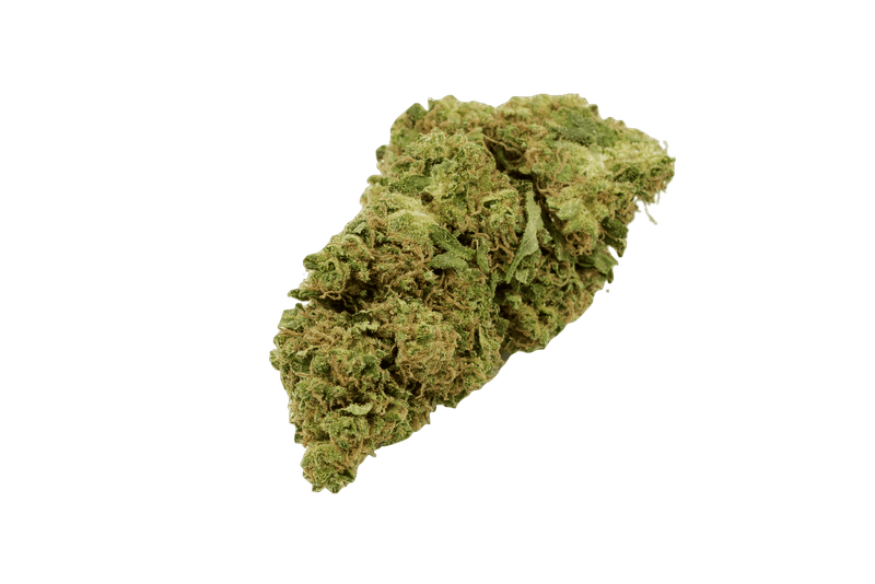 NORTHERN LIGHT 𝟐𝟕%