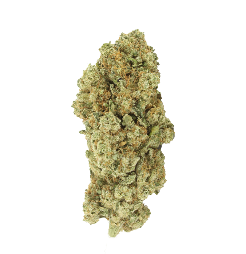 fleurs de white widow sans fond