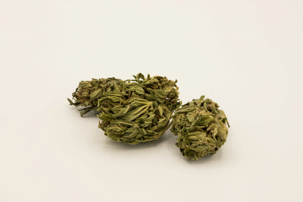 JACK HERER 𝟭𝟭.𝟱%