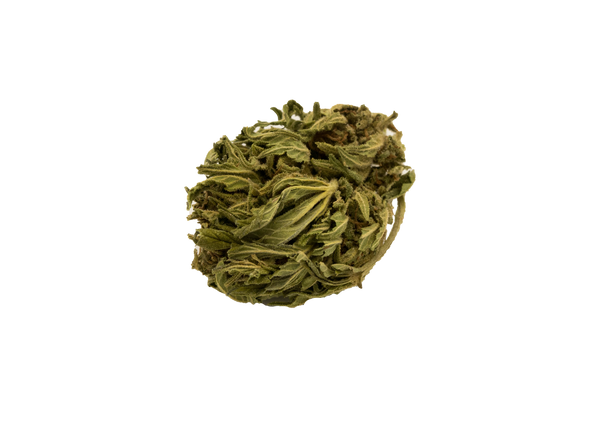 JACK HERER 𝟭𝟭.𝟱%