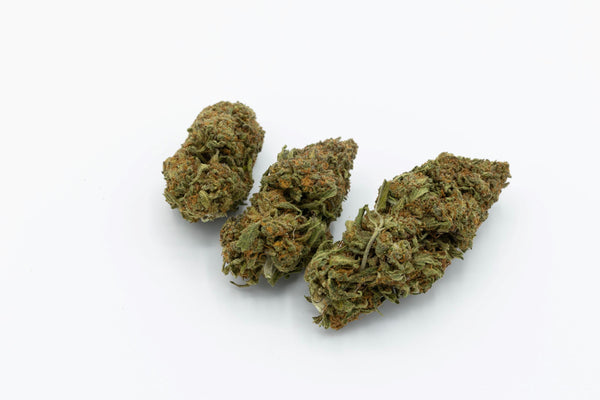 GELATO 𝟮4%