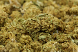 SOUR DIESEL 𝟭𝟮%