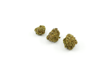 MANGO KUSH 𝟭𝟰,𝟱%