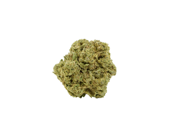 PURPLE HAZE X HARLEQUIN 𝟮𝟱%