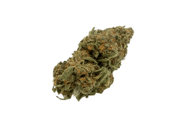 GELATO 𝟮4%